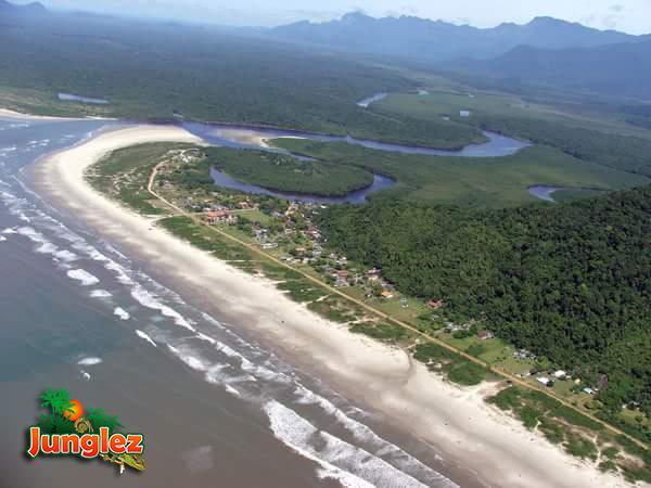 Junglez Eco Hostel Guarau Екстериор снимка