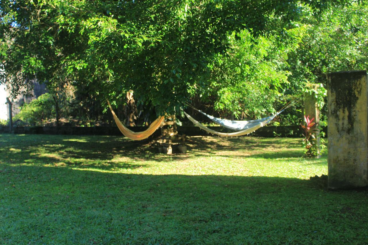 Junglez Eco Hostel Guarau Екстериор снимка